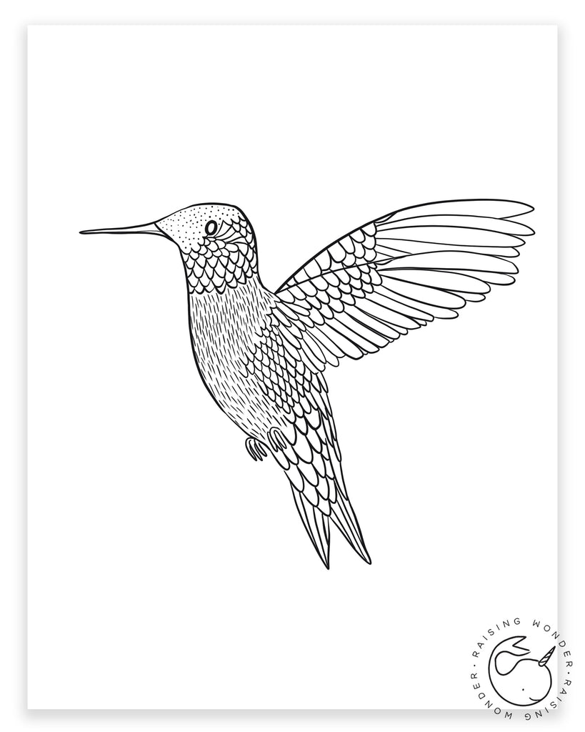 Single Coloring Page-Hummingbird