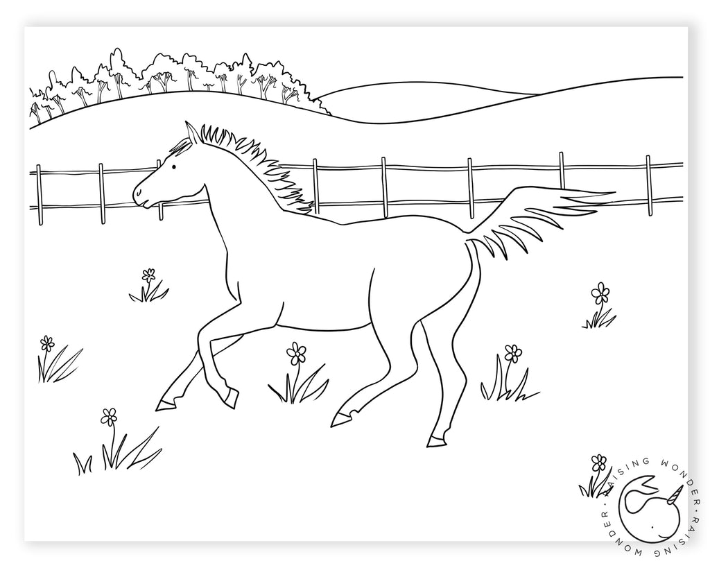 Single Coloring Page-Horse