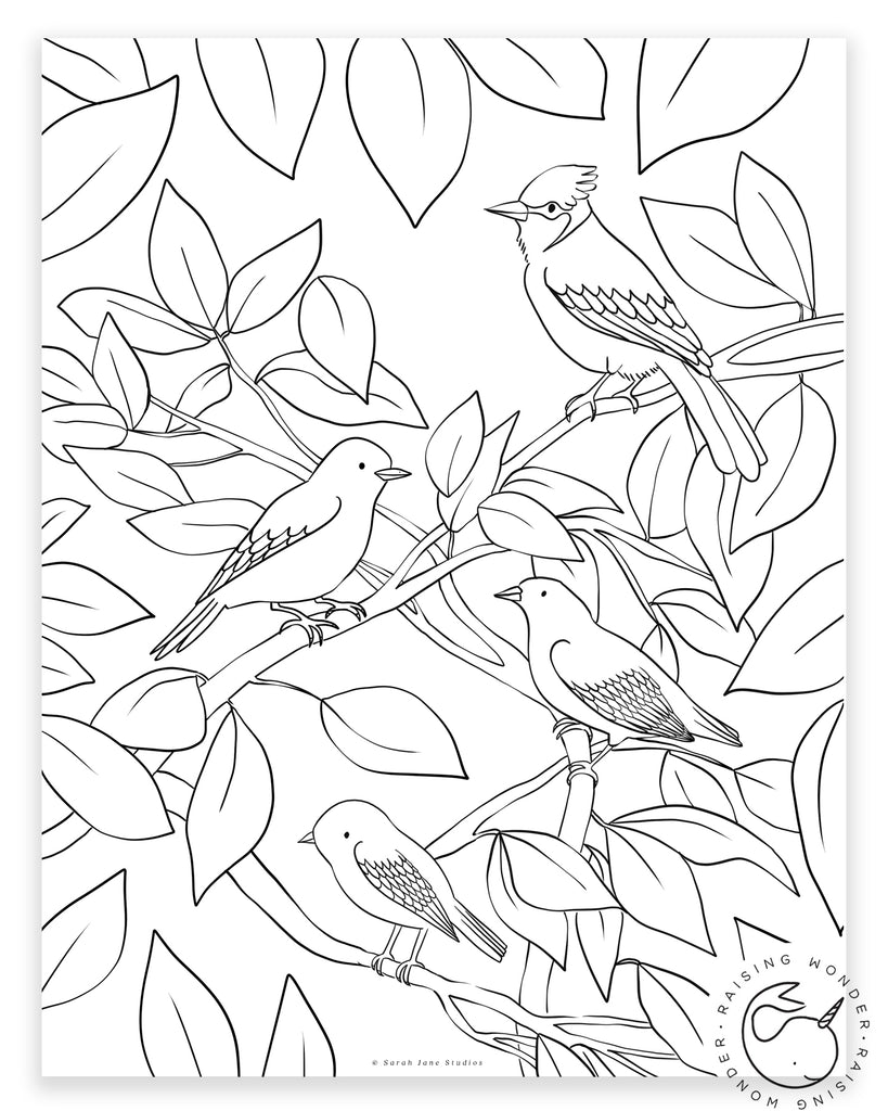 Single Coloring Page-Birds in Trees